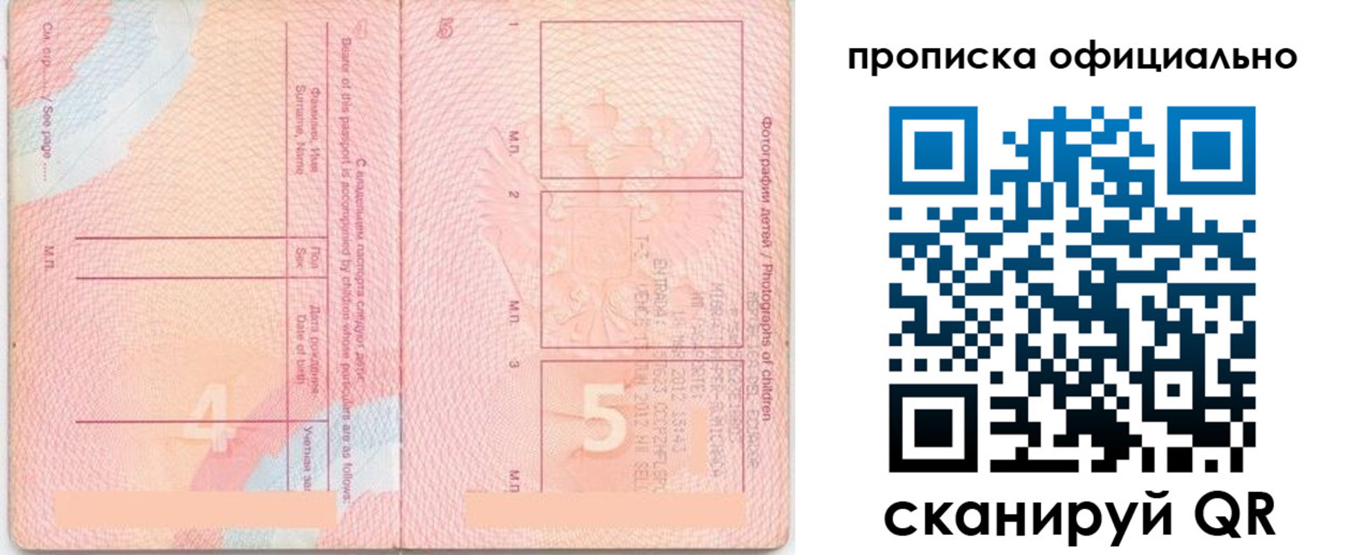 прописка для школы в Калининске
